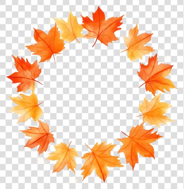 PNG Orange maple leaf circle border pattern plant white background