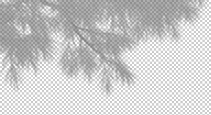 PSD psd shadow shade leaves tree branches on transparent 3d render