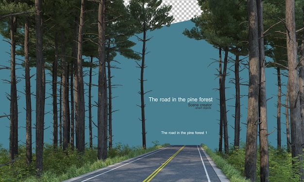 road in a pine forest