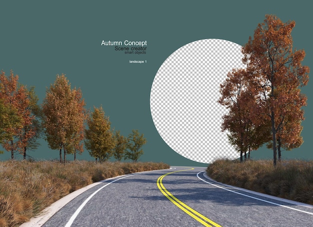 roads through forests in autumn