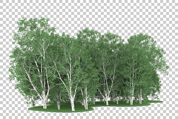 Rừng trên nền trong suốt. Kết xuất 3D - hình ảnh minh họa