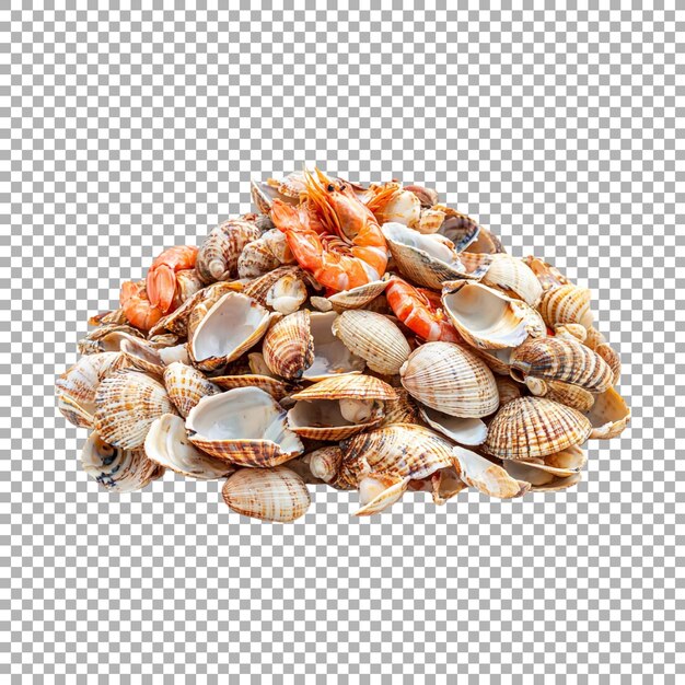 Stack of Different Seashells on Transparent Background Ai Generated