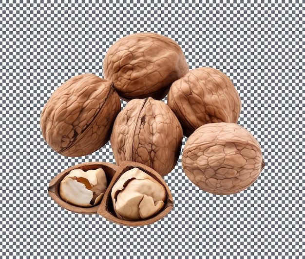 Tasty Carya Bitternut hickory nuts isolated on transparent background