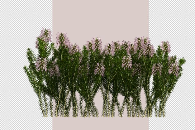 tree in 3d rendering isolated