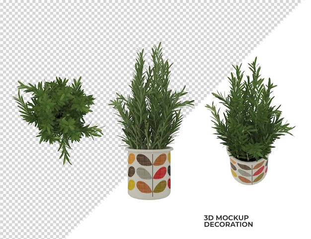 various plant in pot decoration design