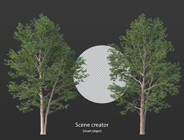 various types of tree plants bushes shrub and and small plants isolated rendering