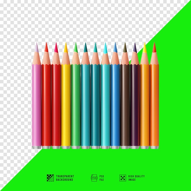 vector colored pencils standing parallel SVG with solid transparent PNG file