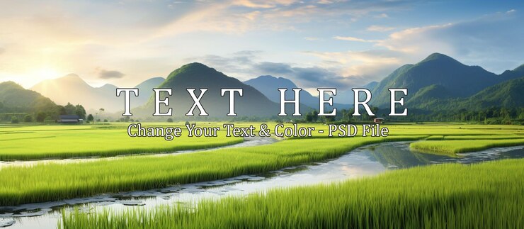 PSD view of the beautiful valley with the green rice terraces field in the mountainous area during harvest time