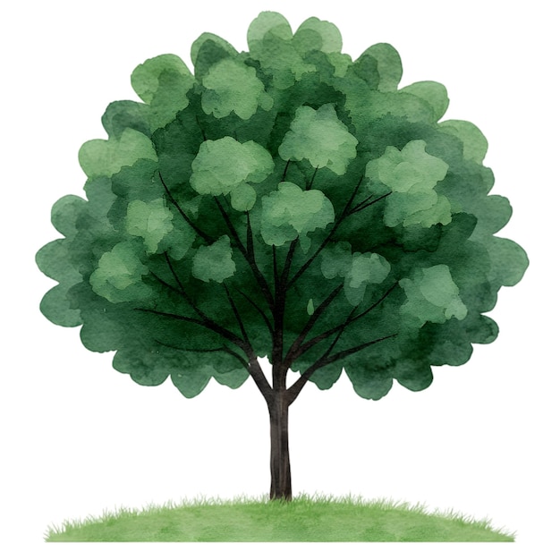 Watercolor Green Tree Illustration HandPainted Nature Artwork for Design and Decor