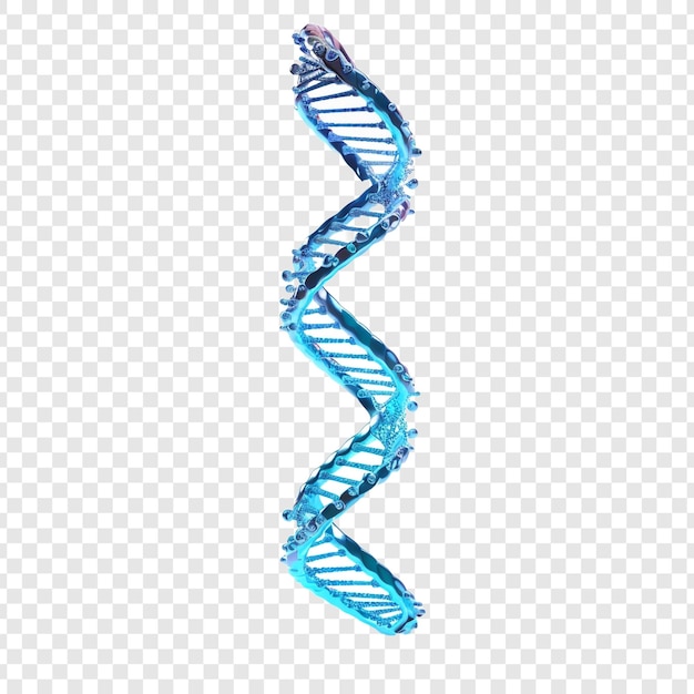 Gratis PSD 3d blue dna helix sequence element geïsoleerd op transparante achtergrond