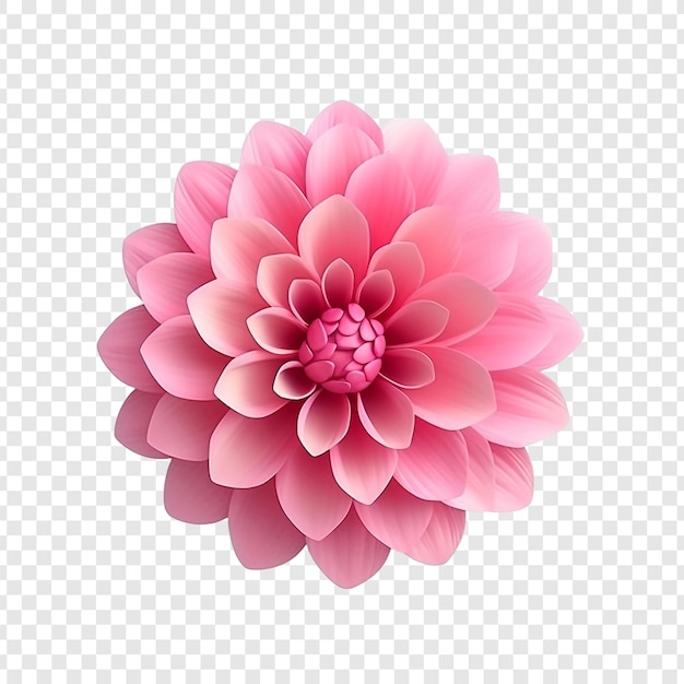 PSD gratuito 3d flor rosa aislada sobre un fondo transparente