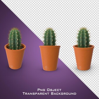 3d ingemaakte cactus geïsoleerd