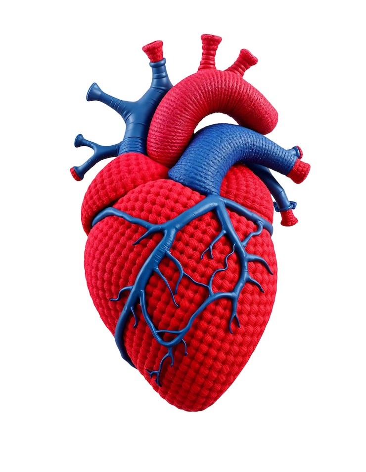 PSD Gratis 3d rendering of realistic heart