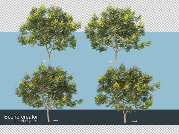 3d-rendering verschillende soorten bomen