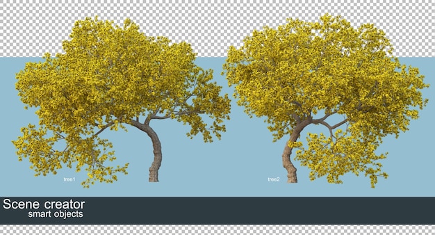 3d-weergave van prachtige bomen in verschillende hoeken geïsoleerd