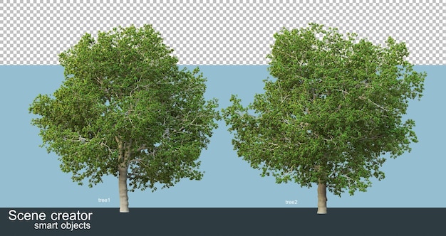 3d-weergave van prachtige bomen in verschillende hoeken geïsoleerd Premium Psd