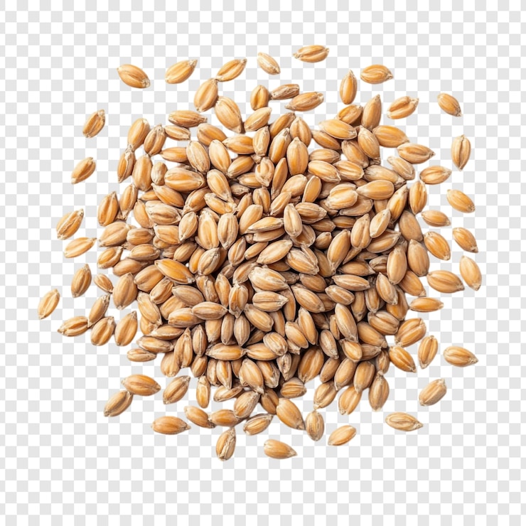 PSD Gratis a pile of spelt grains closeup view of organic spelt kernels for baking and cooking spelt is an ancient grain with nutritional benefits