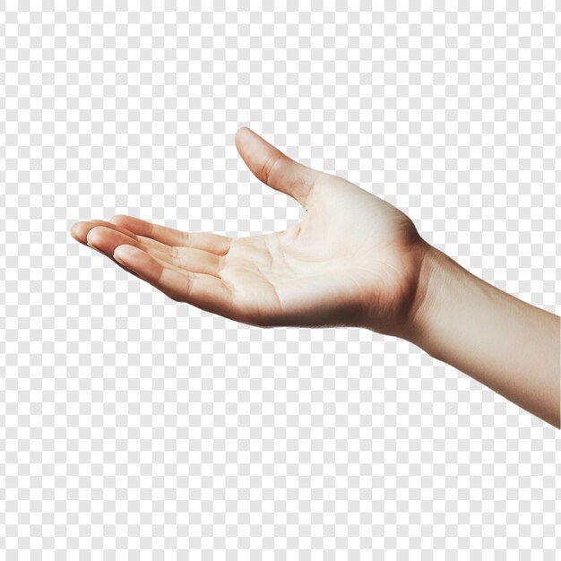 Abre la mano ofreciendo el gesto de ayudar la mano de apoyo de la palma