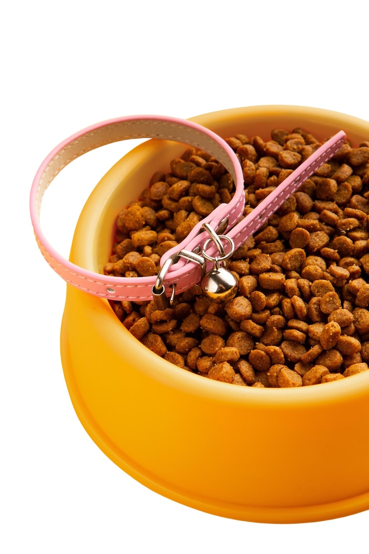 PSD gratuito accesorios para mascotas aislados