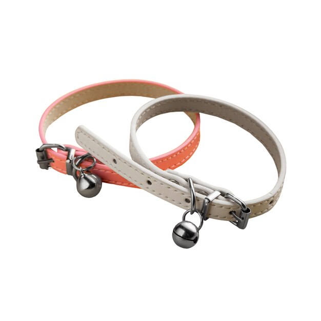Accesorios para mascotas aislados