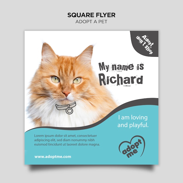 Adopteer een vierkante flyer voor katten
