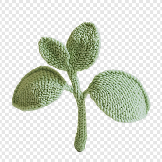 Adorabile pianta verde a maglia