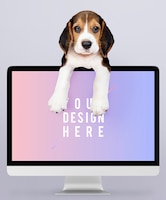 PSD gratis adorable beagle cachorro con una maqueta de monitor de computadora