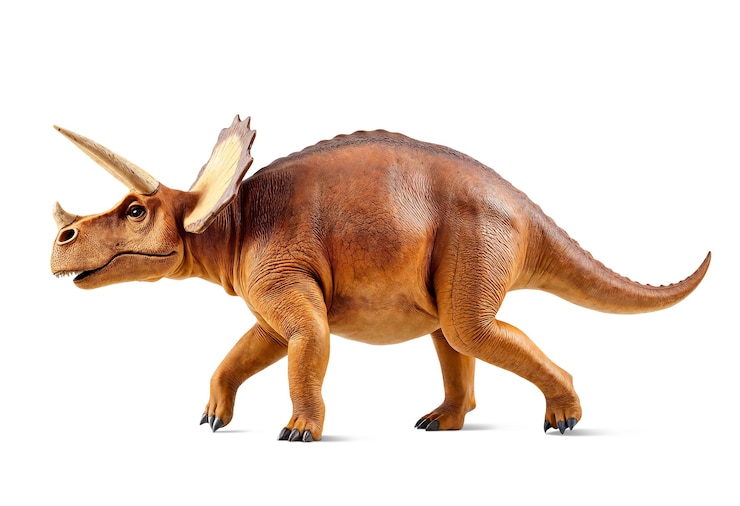 PSD gratuito anatomia dei dinosauri