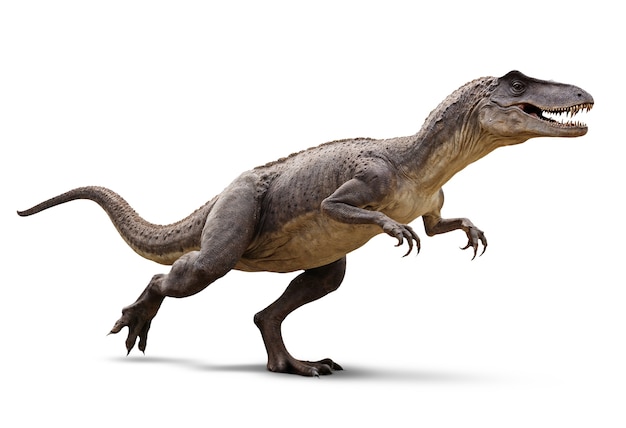 La anatomía de los dinosaurios