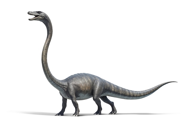 La anatomía de los dinosaurios
