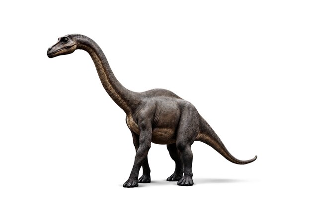 La anatomía de los dinosaurios