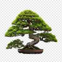 PSD gratuito Árbol de bonsai aislado sobre un fondo transparente