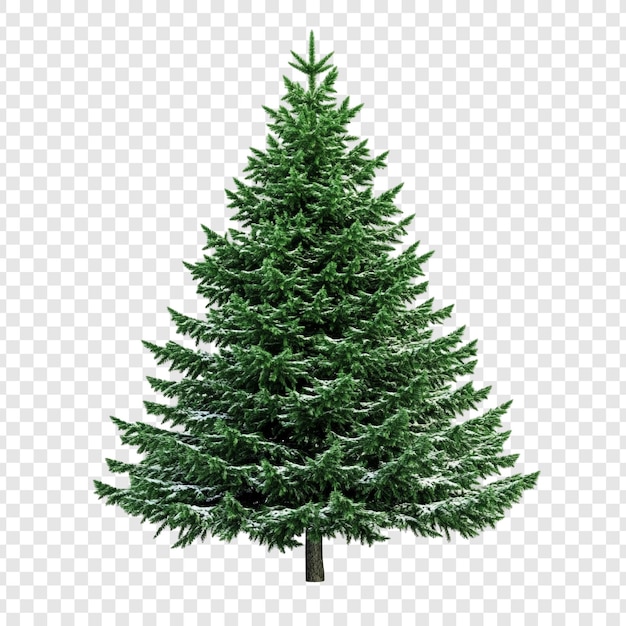 Un árbol de Navidad cubierto de nieve Una conífera de invierno festiva