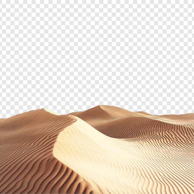 Las arenas doradas del desierto Un panorama impresionante