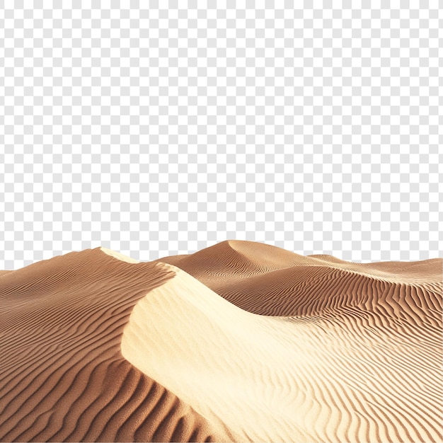 Las arenas doradas del desierto Un panorama impresionante