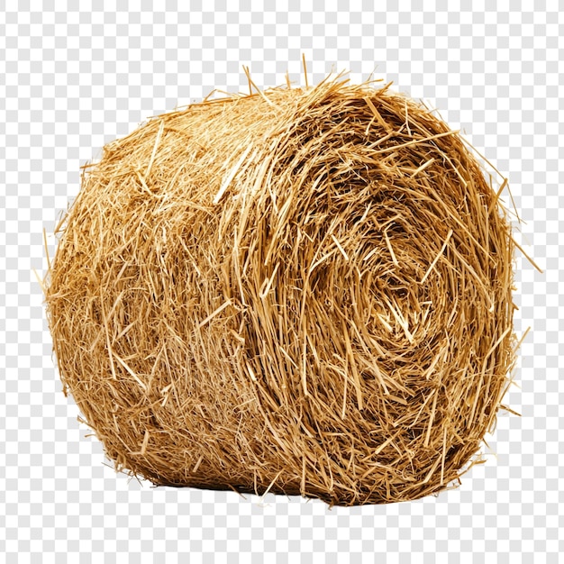 Bale d'oro di fieno Un raccolto rurale Natura morta