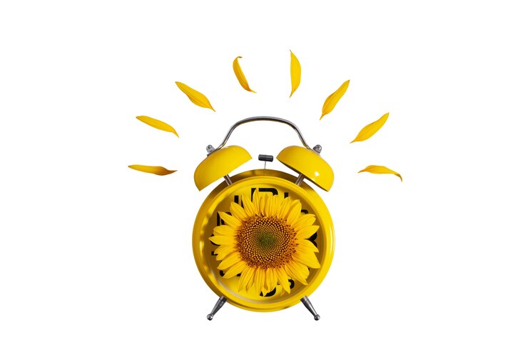 PSD gratuito bellissimo orologio a girasole isolato