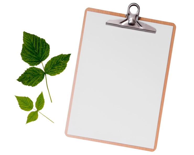 Gratis PSD bovenbeeld over geïsoleerde bladeren