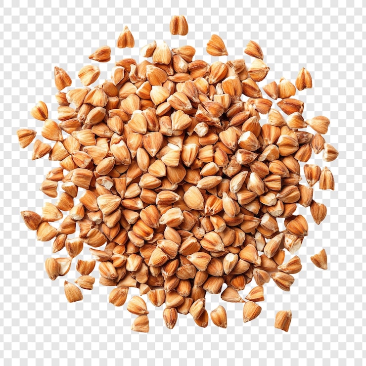 PSD Gratis buckwheat groats biji-bijian bergizi