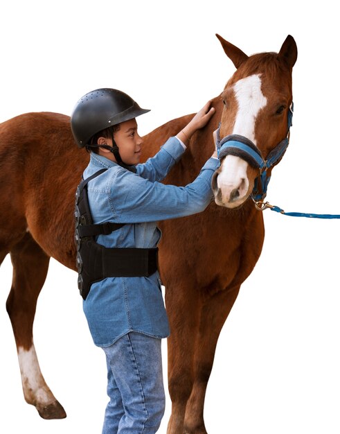 Caballo listo para el equitación aislado
