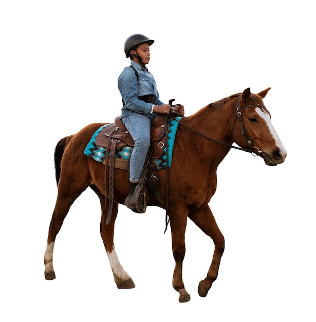 Caballo listo para el equitación aislado