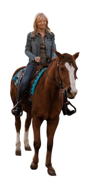Caballo listo para el equitación aislado
