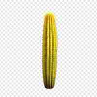 PSD gratuito un cactus amarillo aislado en un fondo transparente