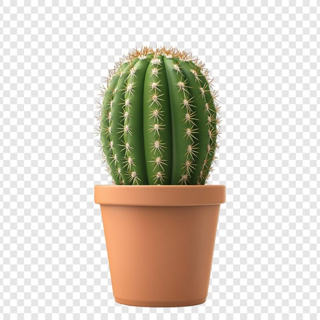 Cactus verde in pentola di terracotta pianta del deserto decorazione della casa illustrazione botanica succulenta