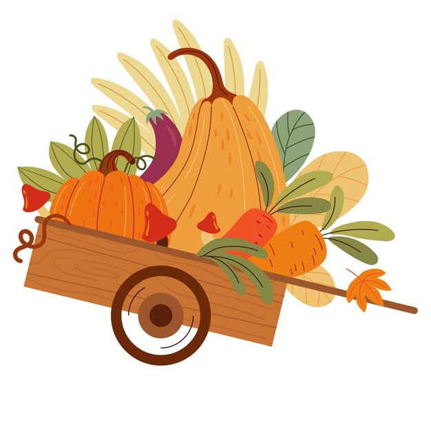 Calabazas de acción de gracias aisladas