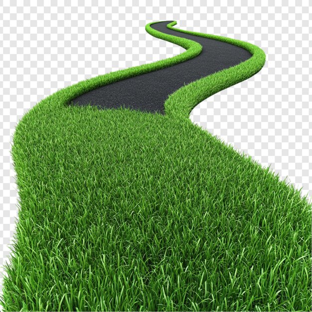 El camino sinuoso a través de la hierba verde exuberante
