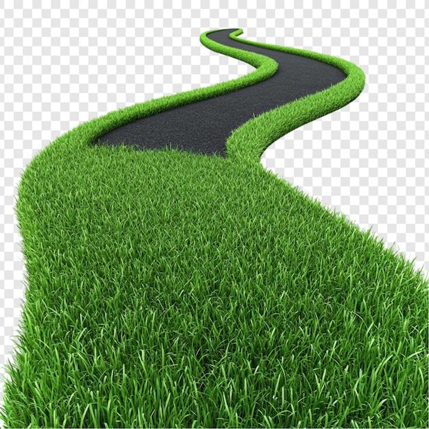 El camino sinuoso a través de la hierba verde exuberante