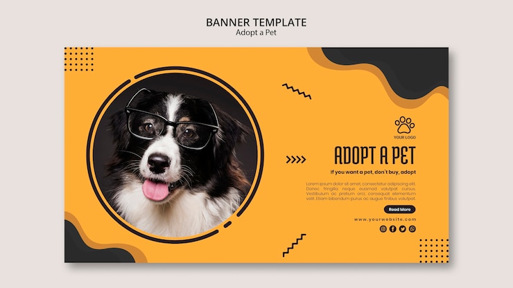 PSD gratuito cane di border collie con il modello dell'insegna di vetro