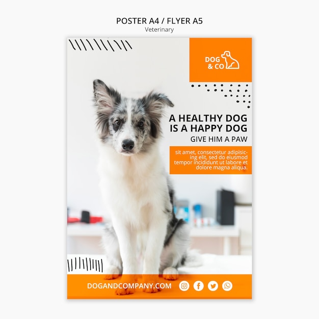 PSD gratuito cartel con concepto veterinario
