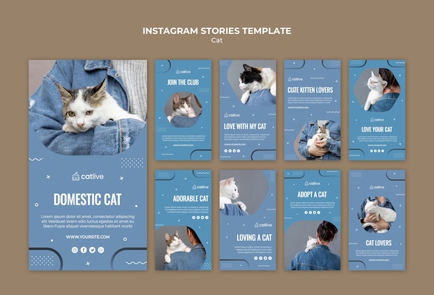 Gratis PSD cat lover concept instagram verhalen